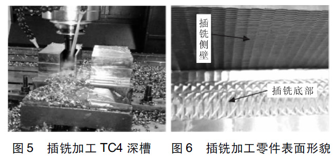 1660466079156166.jpg t5t6.jpg