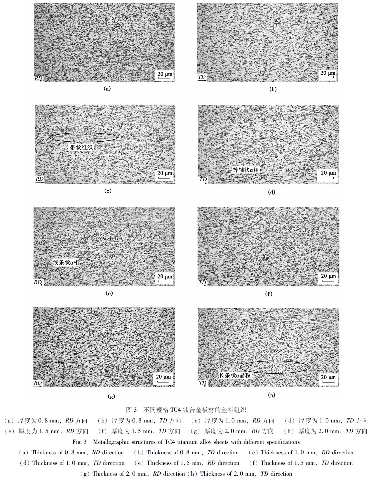 1671078102798125.jpg t3.jpg