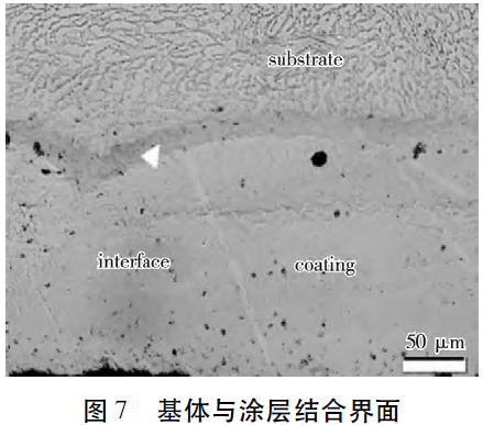 1679474506465718.jpg t7.jpg