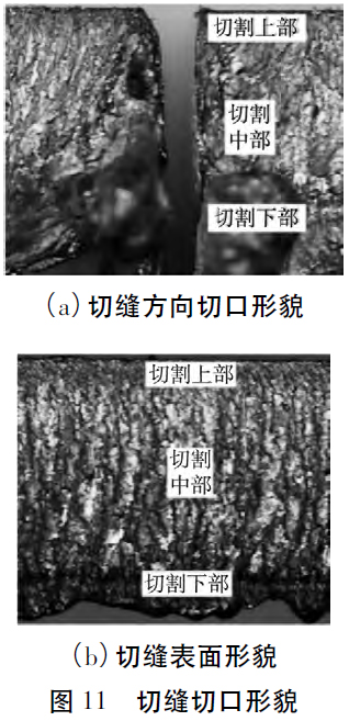 1679474562177895.jpg t11.jpg