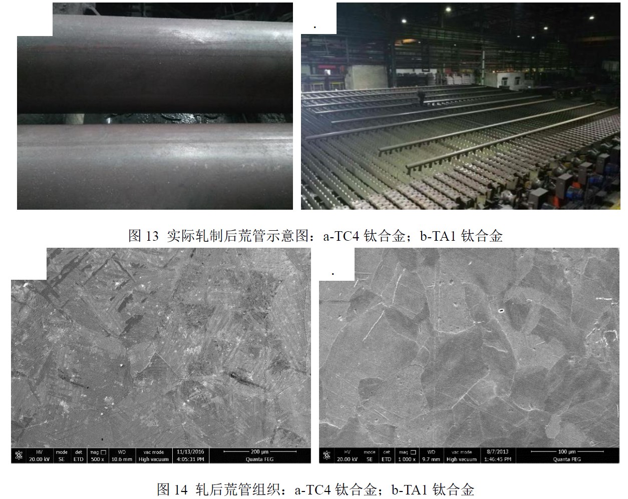 1683362830217889.jpg t14.jpg