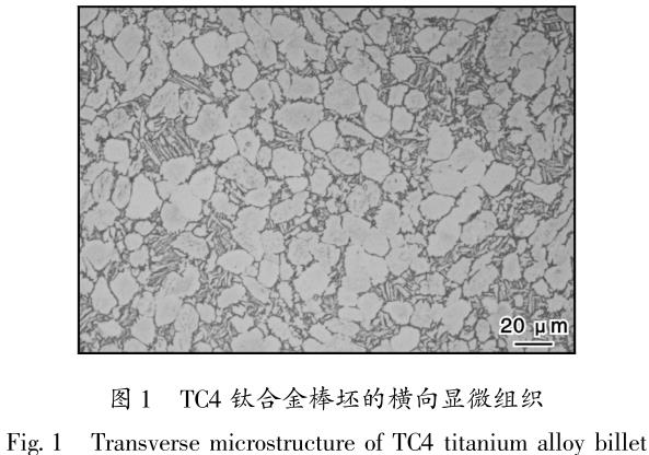 1686562779757284.jpg t1.jpg