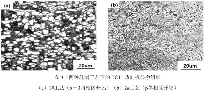 1688990001582831.jpg t3-1.jpg