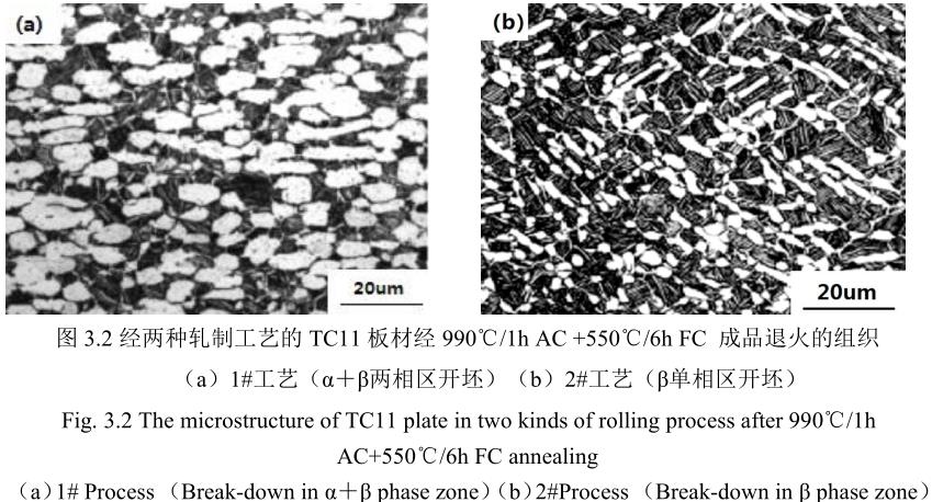 1688990115611825.jpg t3-2.jpg