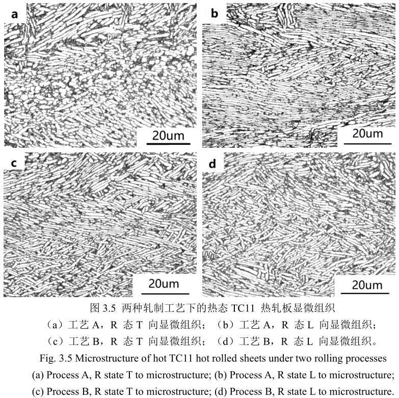 1688990200396081.jpg t3-5.jpg