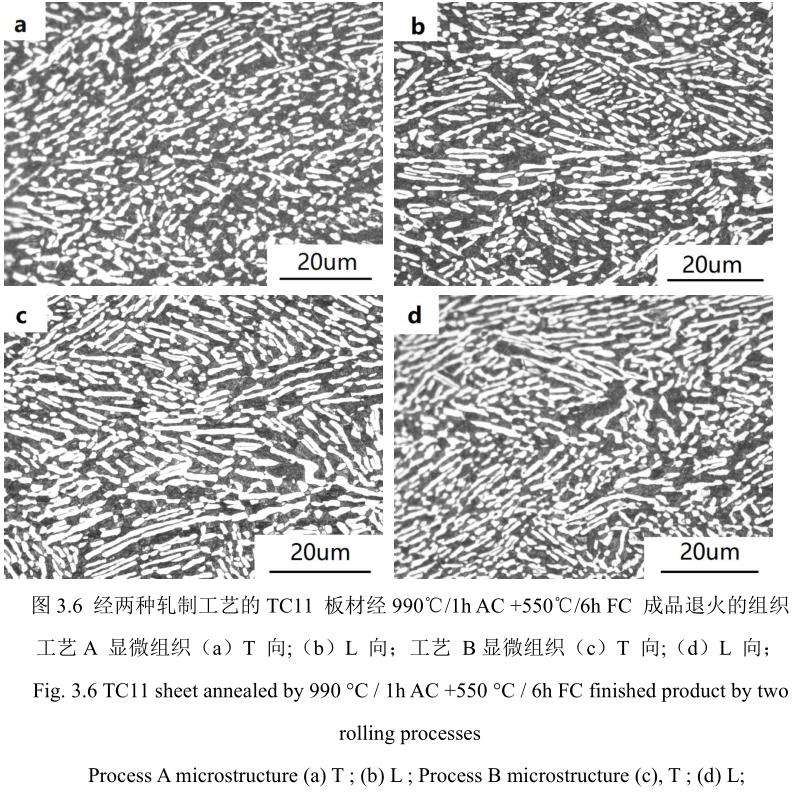 1688990217278724.jpg t3-6.jpg