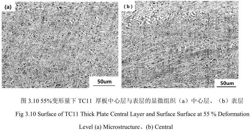 1688990406542174.jpg t3-10.jpg