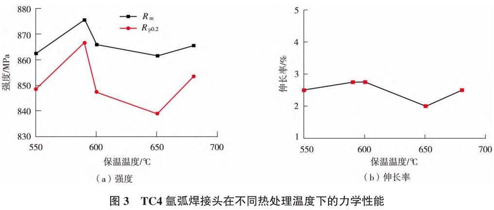 1692070217173693.jpg t3.jpg