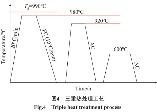 1692456172733284.jpg t4.jpg