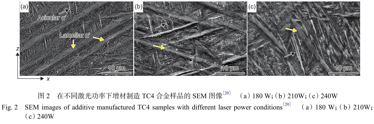 1692864399344066.jpg 2.jpg