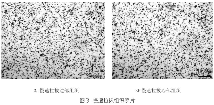 1694746318357218.jpg t3.jpg