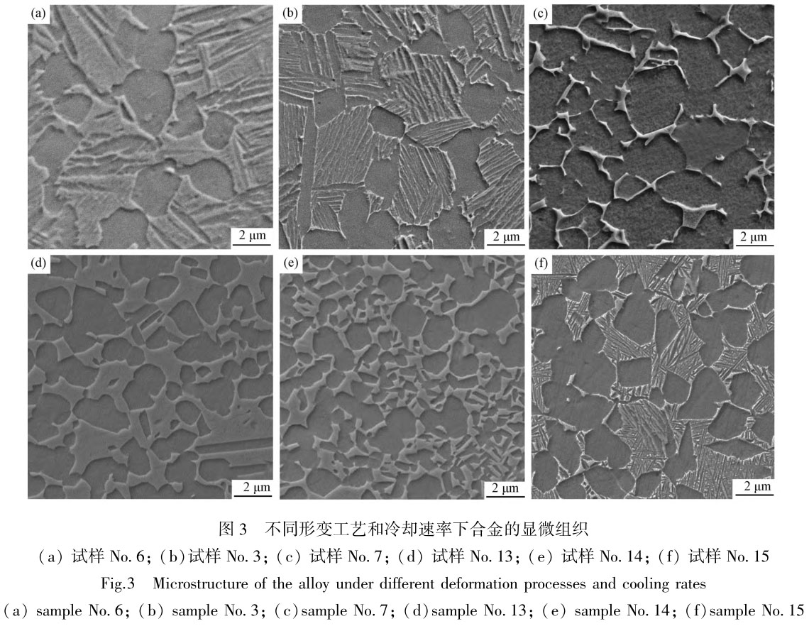 1705876464947948.jpg t3.jpg